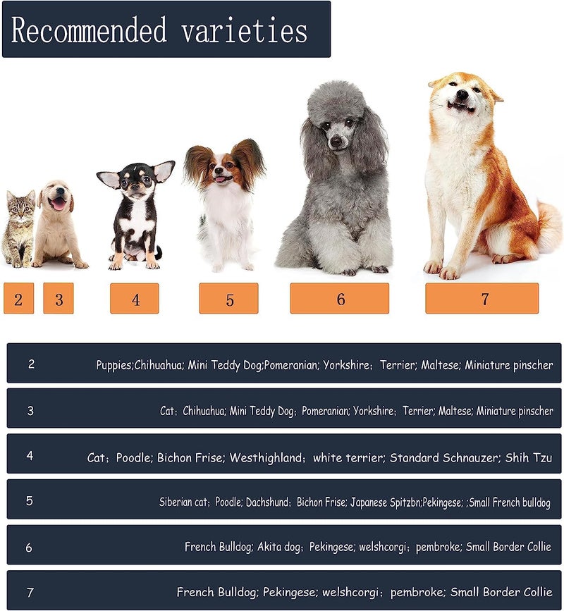 YAODHAOD Dog Shoes for Small Dogs, Puppy Dog Boots & Paw Protector for Winter Snowy Days, Anti-Slip Sole Dog Booties for Indoor Hardwood Floor 4PCS (Blue,Size: 6) - Image 5